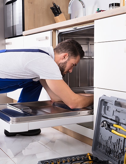 Dishwasher Repair in Temple Terrace